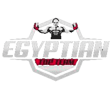 Egyptian Top Team